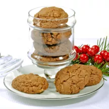 1001 Chocolate Coconut Cookies