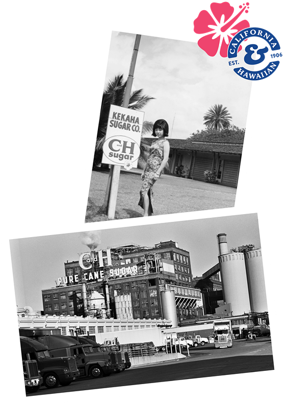 california & hawaiian sugar company c&h sugar history